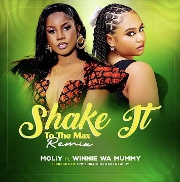 Shake it to the Max Remix